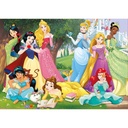 Disney Princesses