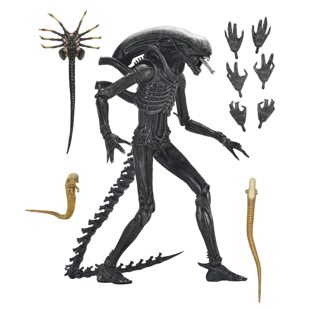 Figura Ultimate Xenomorph Alien: Romulus 18cm