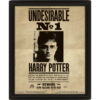 [5051265970169] Poster 3D lenticular Harry Potter y Sirius Black Harry Potter