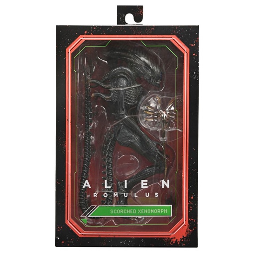[634482517413] Figura Ultimate Scorched Xnomorph Alien Romulus 23cm
