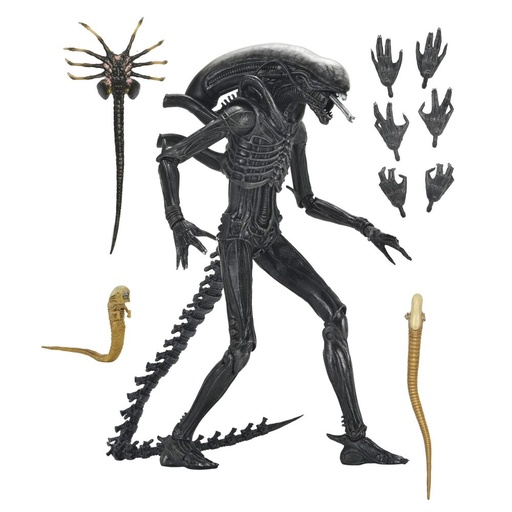 [634482517420] Figura Ultimate Xenomorph Alien: Romulus 18cm