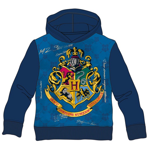 [8435073758800] Sudadera capucha Hogwarts Harry Potter infantil